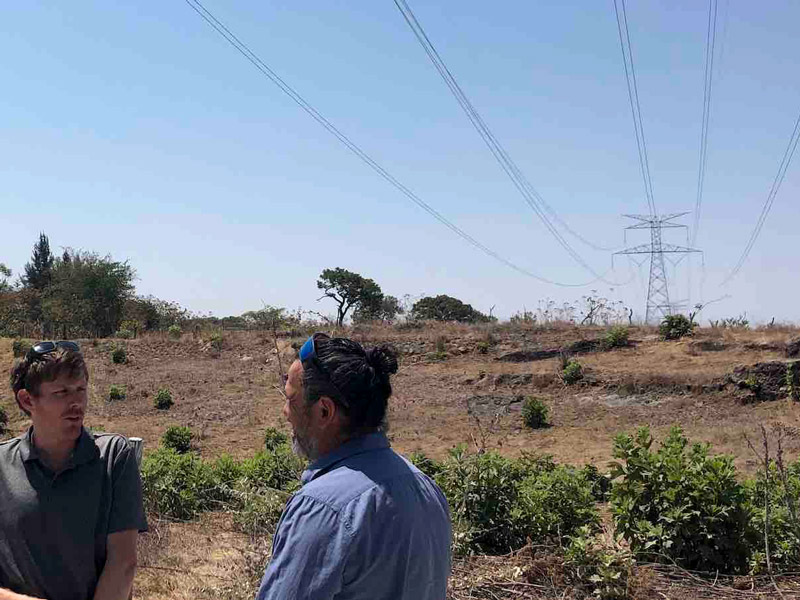 Sterilisation of Rich Farming and Bushland